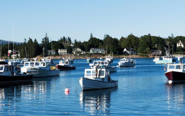 A Rising Tide Lifts All Boats